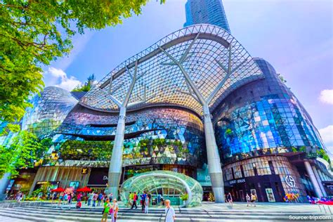 Living In Orchard Singapore S Shopping Paradise Coliwoo