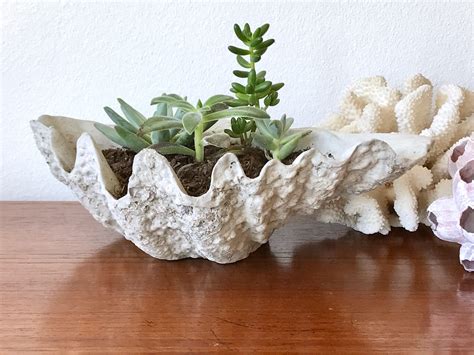 Clam Shell Bowl Hand Poured Cement Seashell Planter Pot Rustic Catchall Trinket Dish