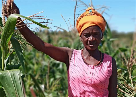 Combater A Fome Em Angola Abordagem Integrada Da World Vision Angola à Emergência Da Fome