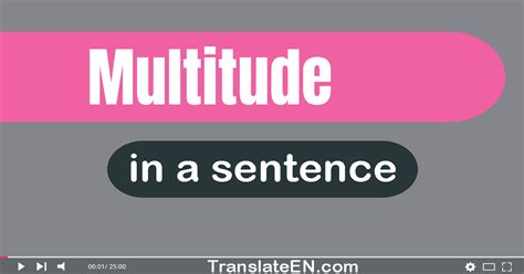 Use Multitude In A Sentence