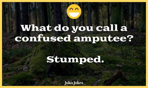 19 Stump Jokes That Are Funny And Good Jokojokes