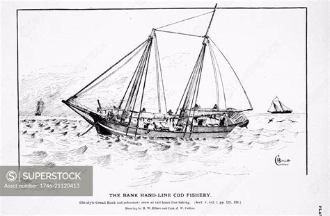 Drawing Of An Old Style Grand Bank Cod Schooner By H W Elliott And