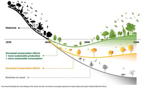 Bending The Curve Of Biodiversity Loss Ambitious Conservation And