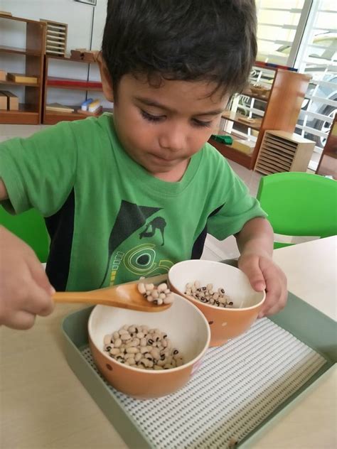 Montessori Ground Rules For Children In The Montessori