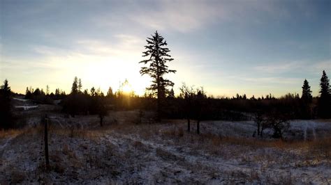 Sunrise Timelapse At Spruce Woods Provincial Park In Manitoba Canada