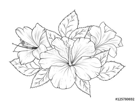 Summer Flowers Drawing At Explore Collection Of