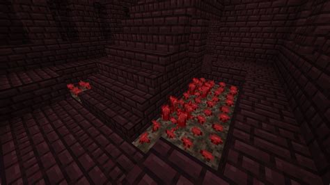 how to farm nether warts in minecraft 2022