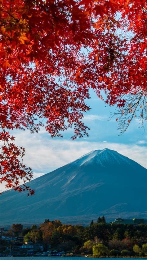 Mount Fuji With Red Mapple Leaves Wallpaper Backiee