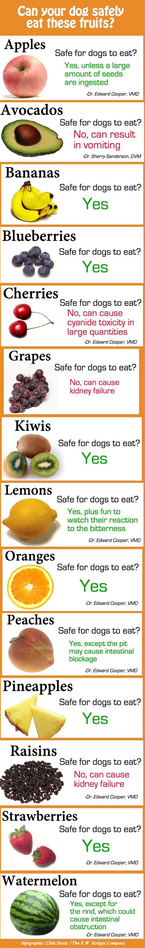 Foods dogs can eat chart. Can Your Dog Safely Eat These Fruits? | beingstray.com