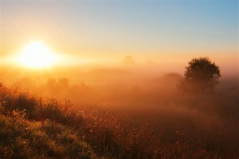 Fog Dawn Sunset Free Photo On Pixabay Pixabay