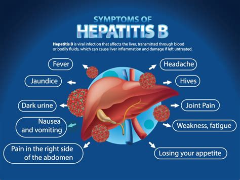 Hepatitis B Causes Symptoms Transmission And Diagnostic Tests