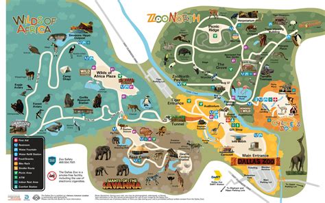 Map Of The Zoo Dallas Zoo