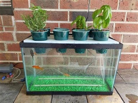 17 Homemade Hydroponic Systems You Can Make By Yourself Aquaponique