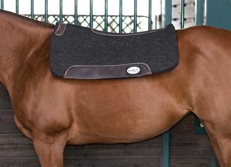 Anky Saddle Pads The Best Pad For Your Horse