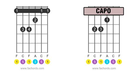Guitar Capo How To Use Full And Partial Capo