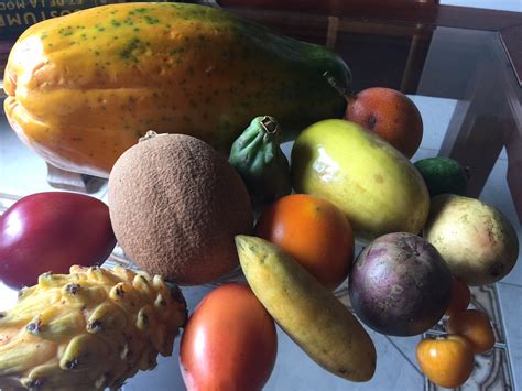22 Exotic Tropical Fruits Of Colombia 2017 Update