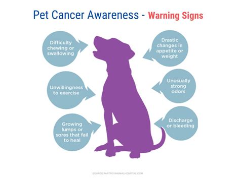 Pet Cancer Awareness Month Pets Naturally