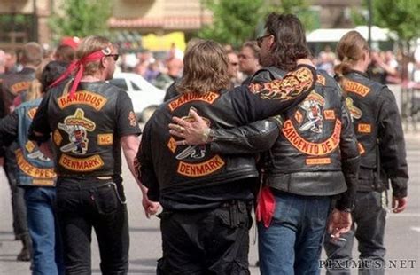 Biker Gangs Others