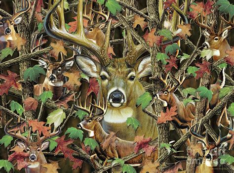 Deer Camo Painting By Jq Licensing Cynthie Fisher Pixels