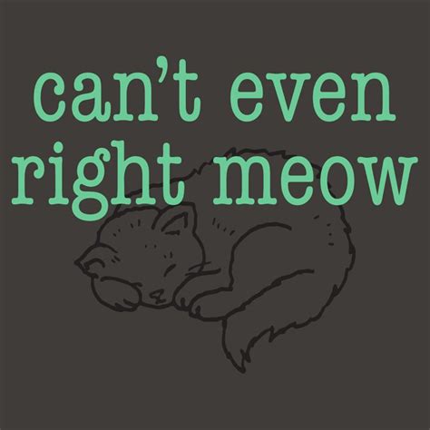 Cant Even Right Meow T Shirt Snorgtees Cat Tshirts Funny Right