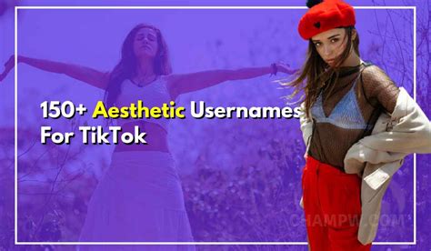 150 Aesthetic Usernames For TikTok To Gain Follows Quickly