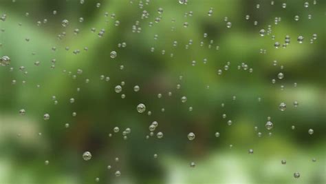 Beautiful Rain Drops Fall In Slow Motion Loop Stock Footage Video