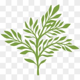 Greenery Png , Png Download - Transparent Greenery Clipart Free, Png