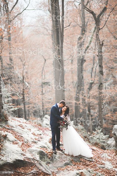 Gorgeous Wedding Couple Kissing And Hugging In Forest With Big Stock