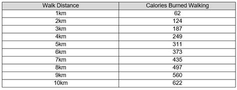 How Many Calories Does Walking Burn Aipt