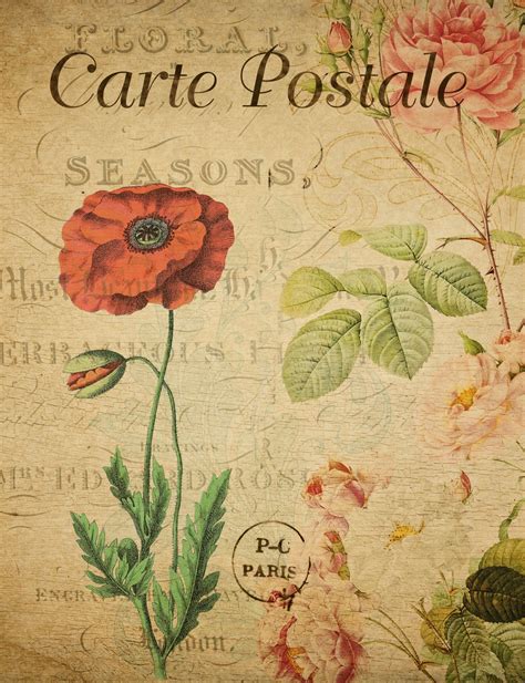 Vintage Postcard Red Poppy Flower Free Stock Photo