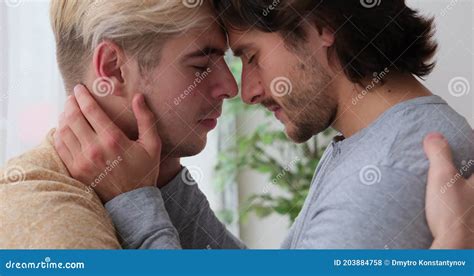 Loving Gay Couple Embracing And Touching Forehead Stock Footage Video