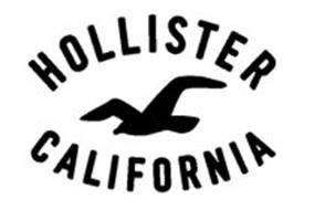 Google drive logo free icon. HOLLISTER CALIFORNIA | Hollister logo, Hollister california
