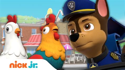 Paw Patrol Pups Save Chickens From Danger Nick Jr Youtube