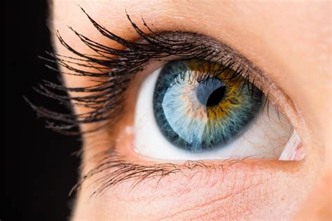 Science Your Eye Color Reveals A Lot About You