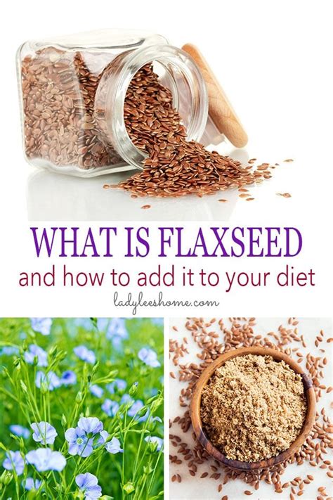 what is flaxseed and how to add it in your diet lady lee s home