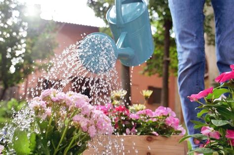 Watering Guiding Tips How To Efficiently Water Your Garden