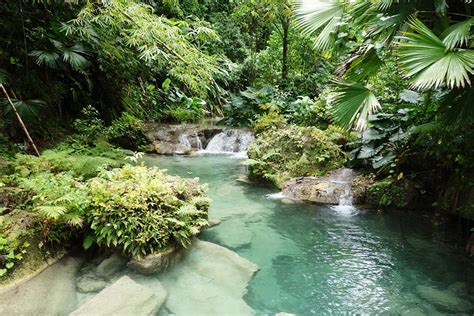 60 Best Things To Do In Jamaica Itinku