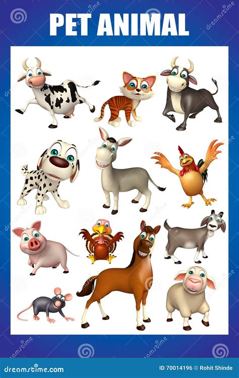 Pet Animals Chart With Names