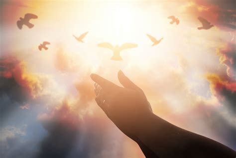 The bible says, blessed is the man that endures temptation: Today's Blessing: Grace And Love | God TV