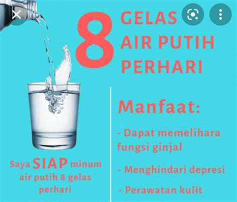 Kenapa Harus Minum Air Putih 8 Gelas Setiap Hari