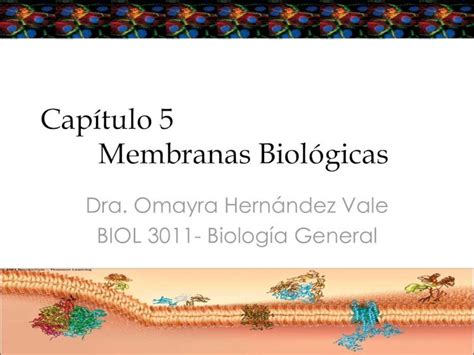 Pdf Capítulo 5 Membranas Biológicas · 51 Estructura De Membranas