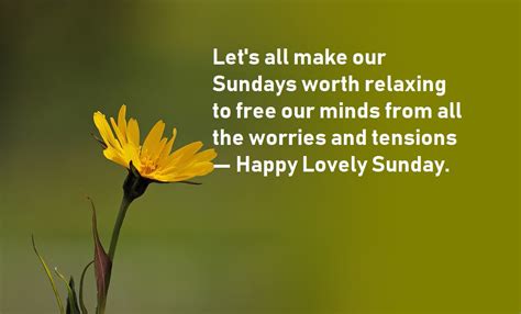 Happy Sunday Quotes Motivate You For Prosperity Bestinfohub