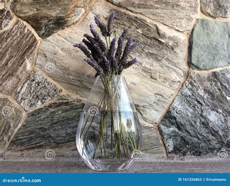 Purple Lavender In Glass Vase Home Decor Stock Image Image Of Clean
