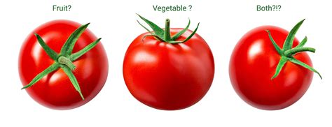 Is A Tomato A Fruit Or A Vegetable Hint You Re Both Right The