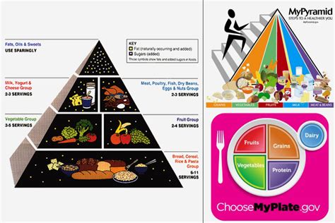 Food Pyramid For Kids And Teens