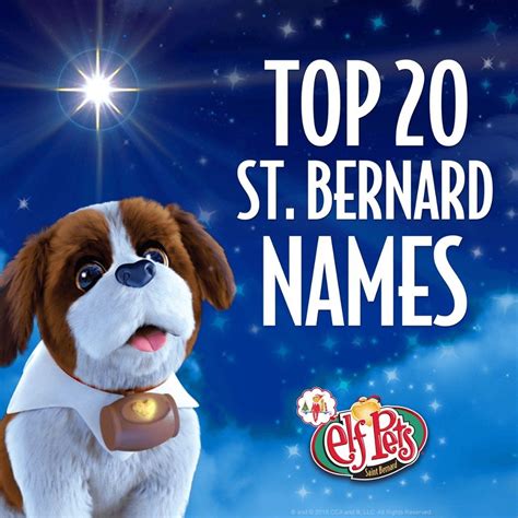Saint Bernard Names Puppy Names The Elf On The Shelf Santas