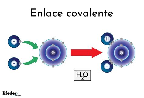 Enlace Covalente Caracteristicas Propiedades Y Ejemplos Lifeder My