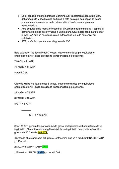 Solution Bioqu Mica Ii Metabolismo Oxidativo Control De Glucosa Fotos Ntesis Studypool