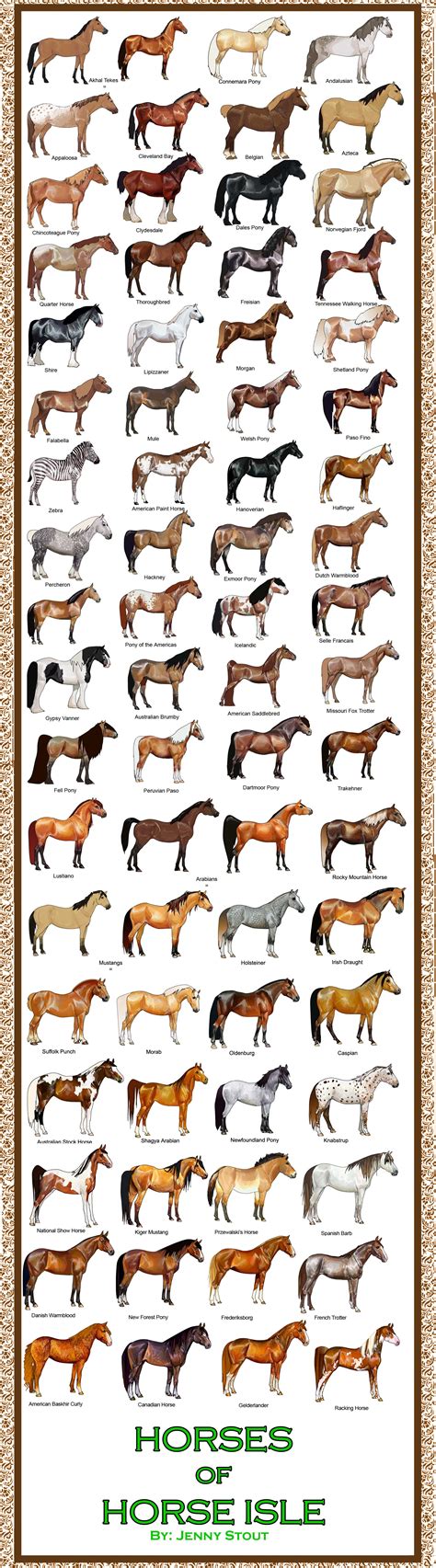 Different Horse Breeds Chart