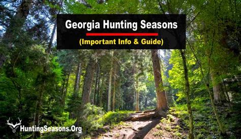 Georgia Hunting Season 2024 Updated Schedule